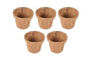 Organic Coir Seed Starter Cups