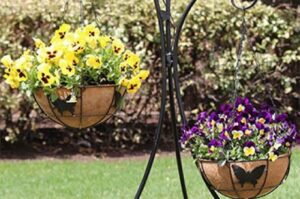 Hanging Baskets
